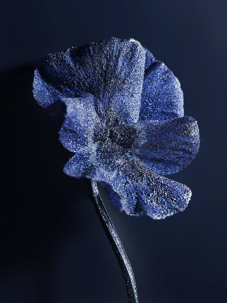 candice-milon-chaumet-les-jardins-de-chaumet-grobia-09.jpg