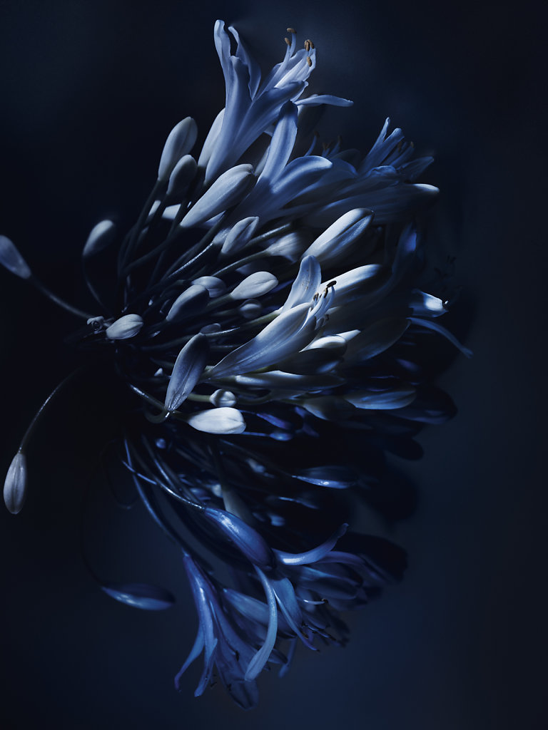 CHAUMET - CANDICE MILON