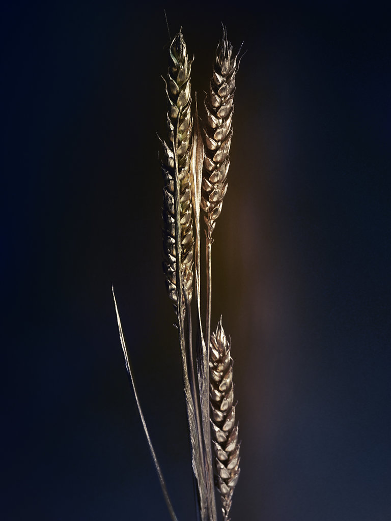 CHAUMET - CANDICE MILON