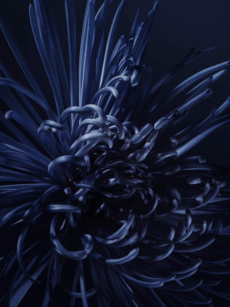 CHAUMET - CANDICE MILON