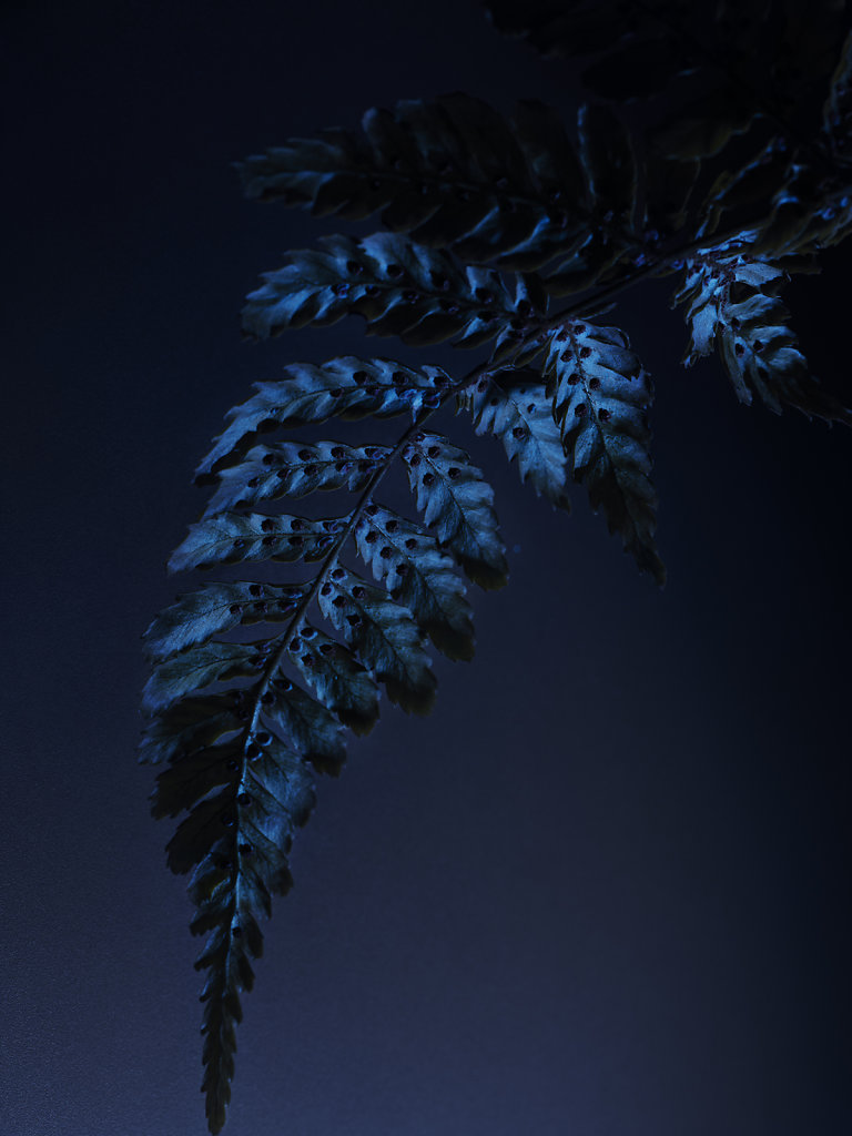 CHAUMET - CANDICE MILON