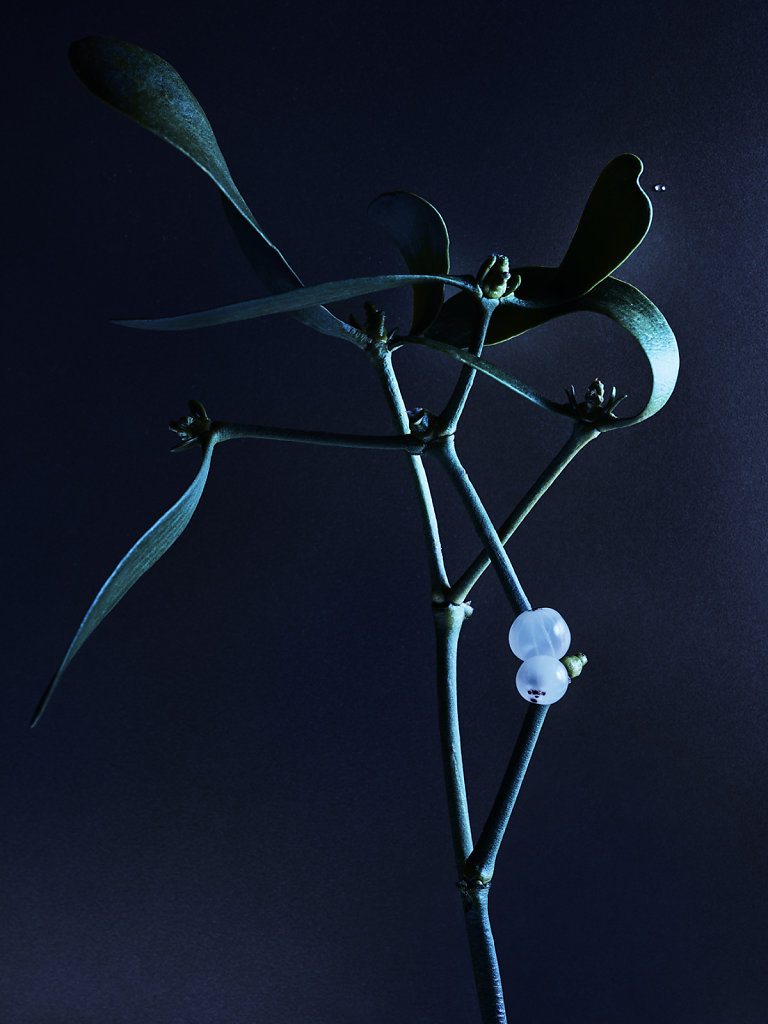 CHAUMET - CANDICE MILON