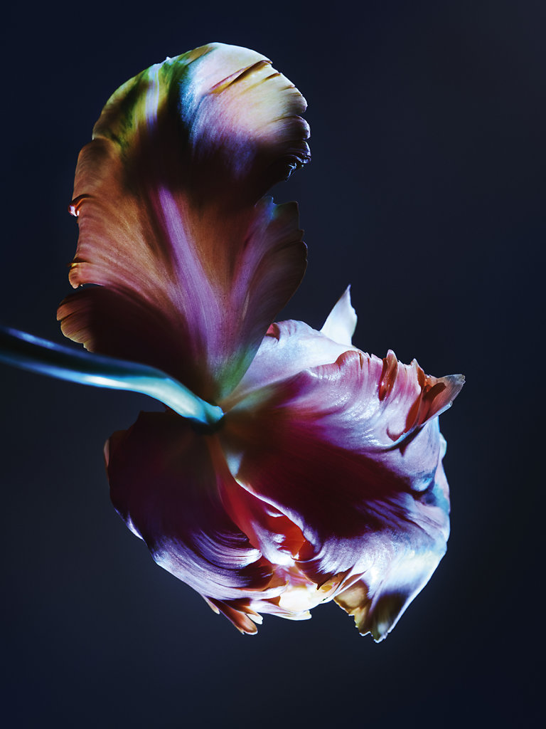 CHAUMET - CANDICE MILON